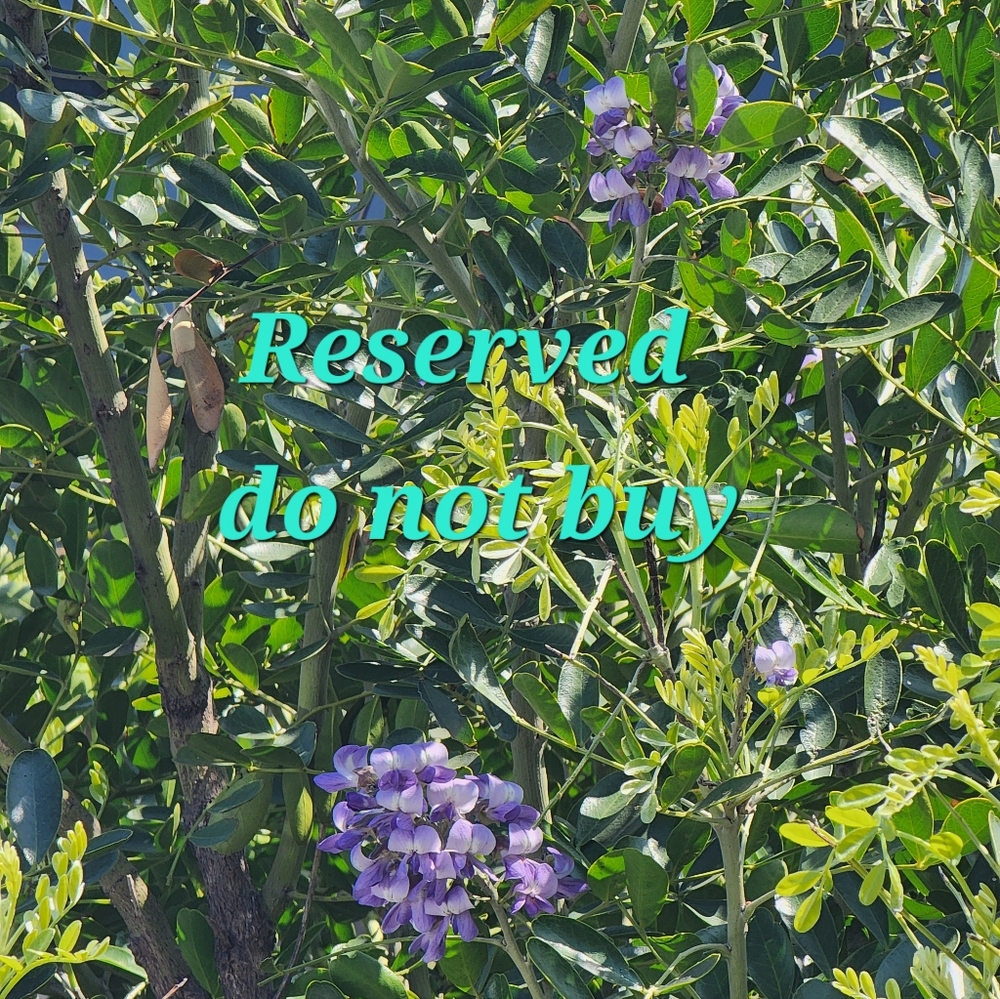 Reserved coach bag